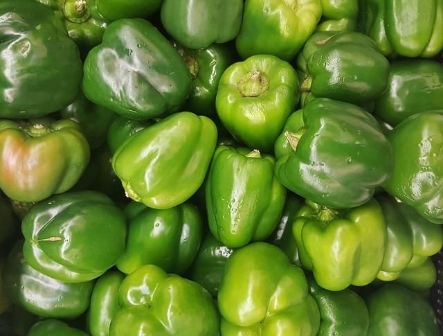 Capsicum - Image 2