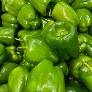 Capsicum