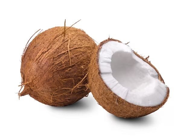 Coconut - Image 2
