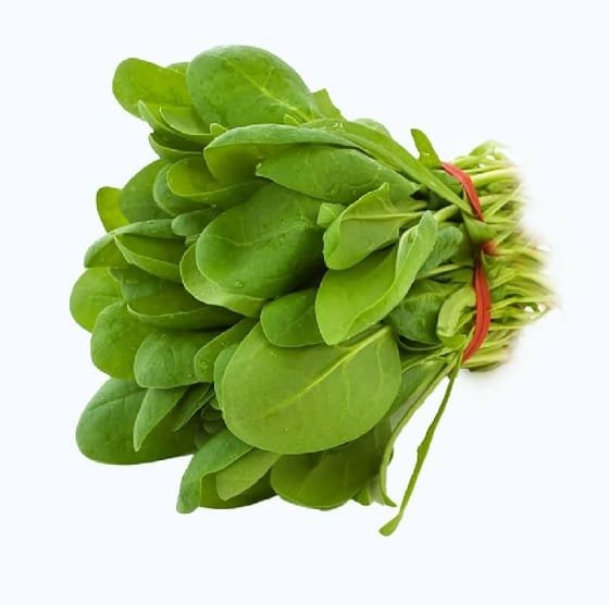 Deep Rooted Spinach / Palak