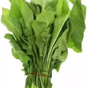Deep Rooted Spinach / Palak
