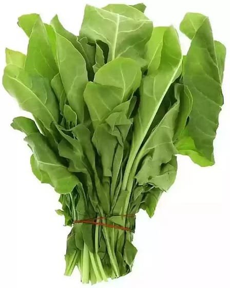 Deep Rooted Spinach / Palak - Image 2
