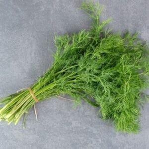 Dill Leaves / Shepu
