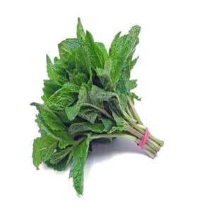 Mint Leaves