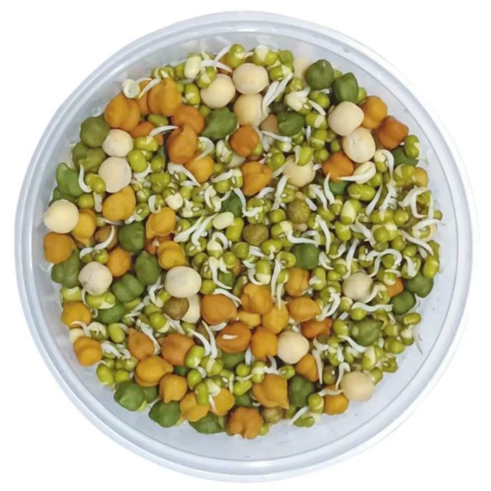 Mix Sprouts - Image 2
