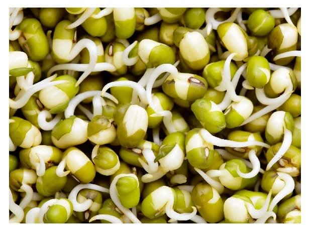Moong Sprouts - Image 2