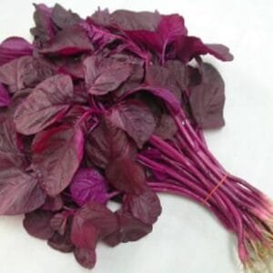 Red Amaranth
