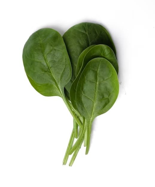 Spinach/Palak - Cleaned, without roots - Image 2