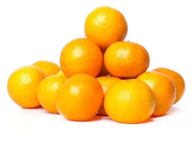 Baby Orange - Image 2