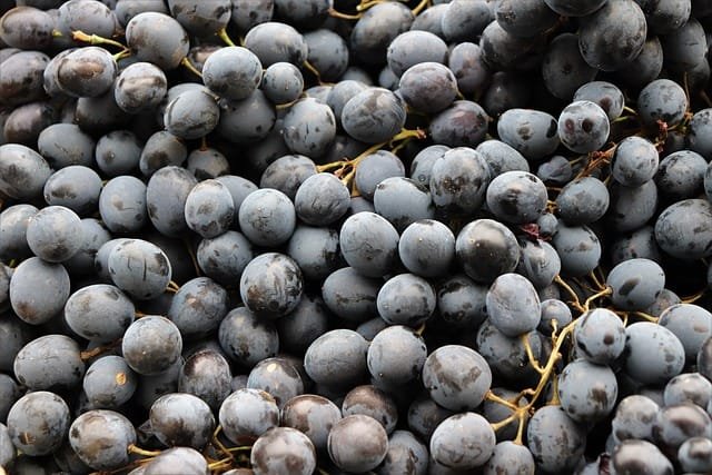 Black Grapes - Image 2