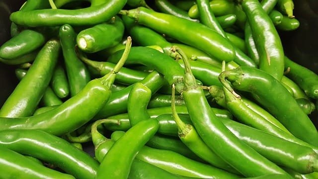 Green Chilli - Image 2