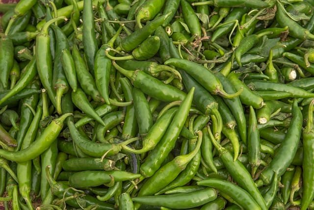 Green Chilli - Image 3