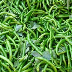 Green Chilli