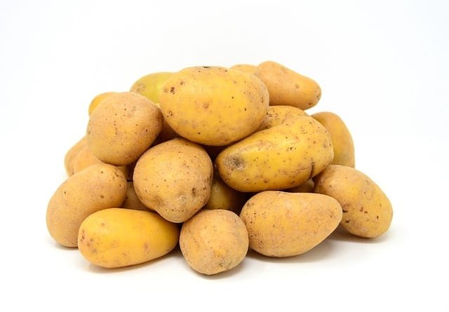 Potato - Image 3