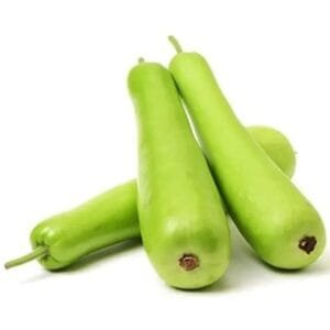 Bottle Gourd (Lauki)