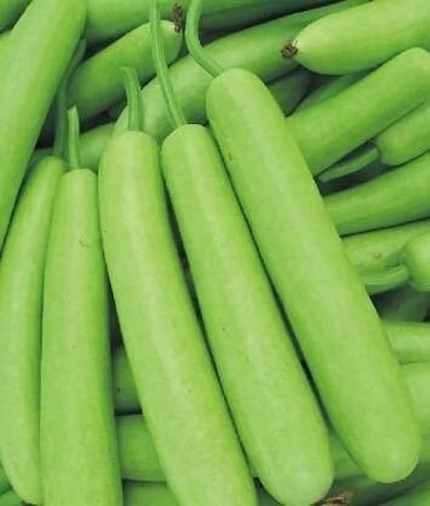 Bottle Gourd (Lauki) - Image 2