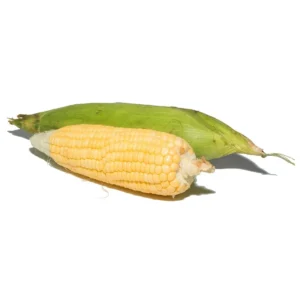 Sweet Corn